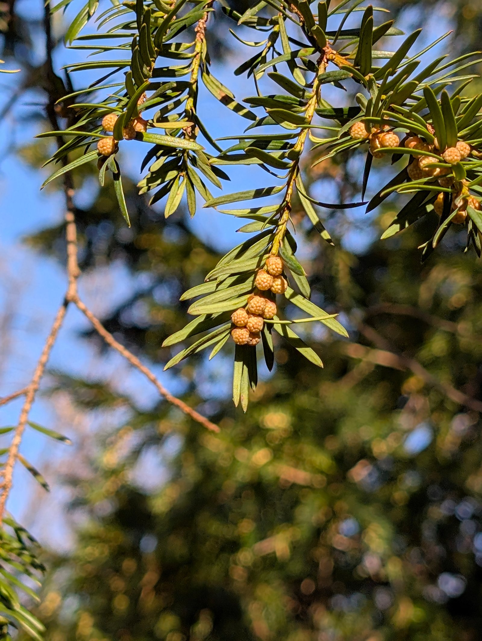 Nature